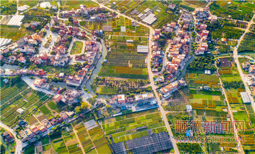 順德體育設(shè)施 順德體育設(shè)施