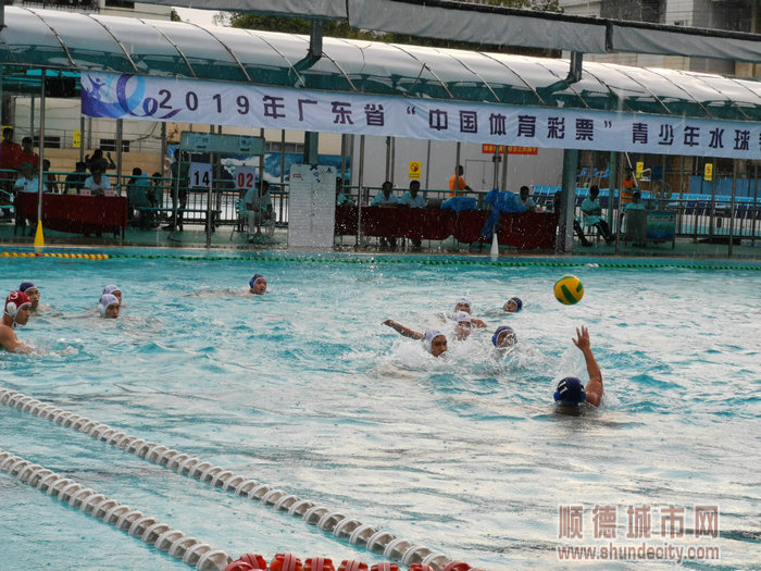 順德體育設(shè)施 順德體育設(shè)施