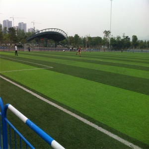 青海西寧市特警大隊(duì)人工草足球場(chǎng)_其他案例_廣東