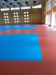 深圳龍崗室內(nèi)硅PU球場(chǎng)_室內(nèi)地面工程案例_廣東