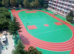 河南洛陽嵩縣 硅PU跑道、球場_其他案例_廣東
