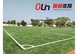 廣東省惠州市博羅楊僑中心小學運動場_戶外運動地面案例_廣東