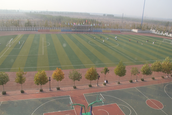 唐山市灤南縣英才紅軍學校