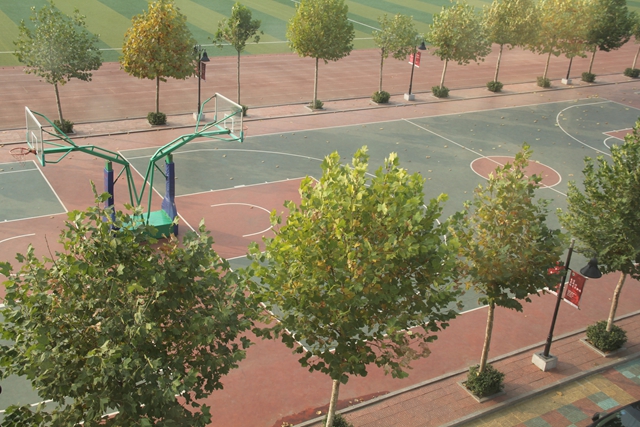 GYTY-A010海燕式移動(dòng)籃球架