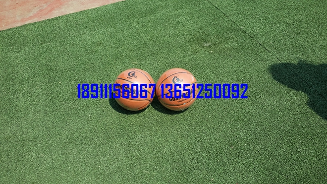 籃球，小籃球，少年籃球