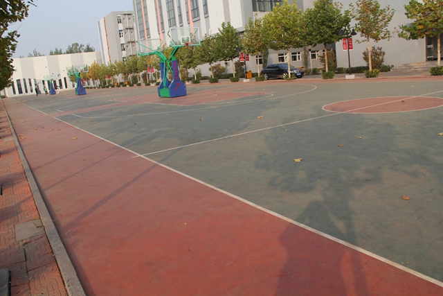 GYTY-A010海燕式移動(dòng)籃球架