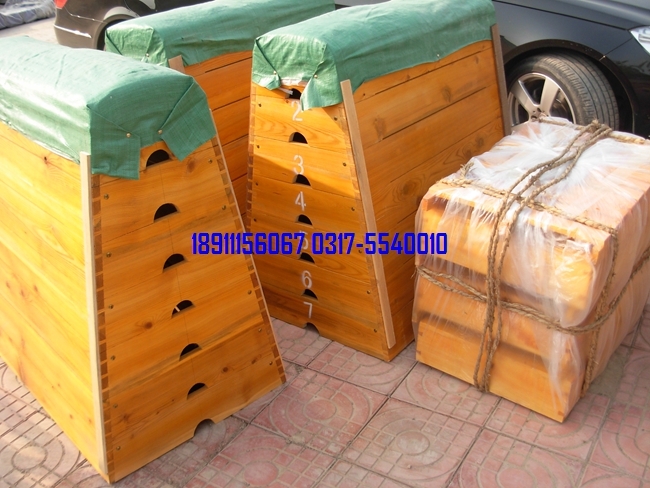 五節(jié)、七節(jié)跳箱