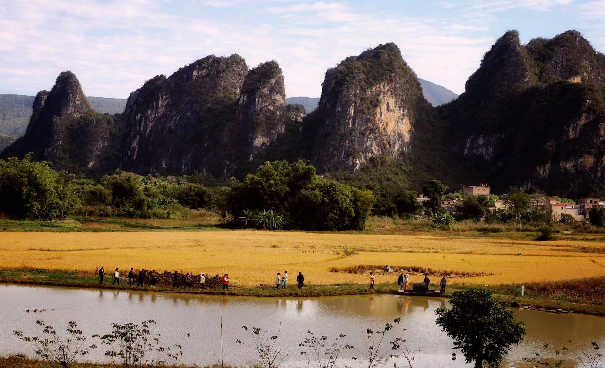 319906592090101371.jpg 319906592090101371.jpg