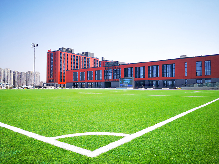 校園足球場人造草坪運(yùn)動(dòng)系統(tǒng)--單絲-曲絲--免填充自由選擇-搭配墊層和TPE顆粒(圖文) 校園足球場人造草坪運(yùn)動(dòng)系統(tǒng)--單絲-曲絲--免填充自由選擇-搭配墊層和TPE顆粒(圖文)