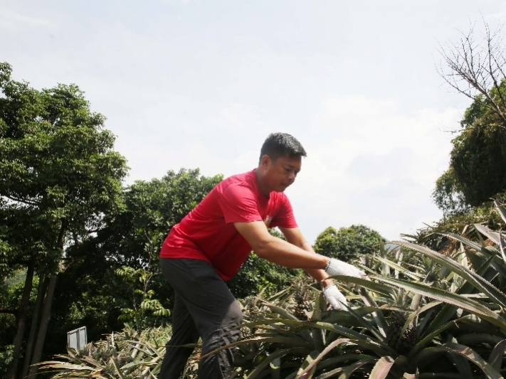 神灣鎮(zhèn)農(nóng)民豐收節(jié)文體旅游活動月將于9月19日啟動