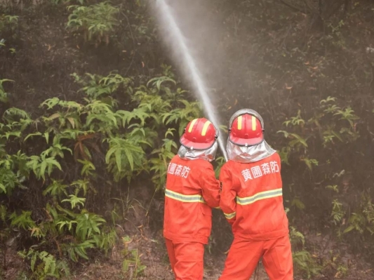 及時防控山林火災“險情”，黃圃鎮(zhèn)開展森林火災應急處置演練