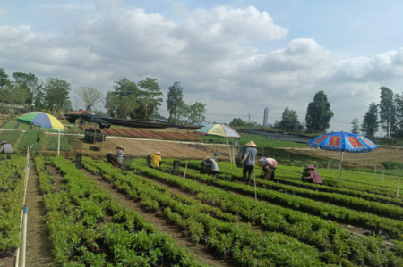 這項(xiàng)數(shù)據(jù)，橫欄排名全市第一！