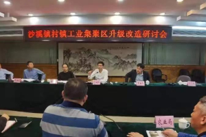 借鑒經(jīng)驗(yàn)、干在實(shí)處！中山沙溪全力推動(dòng)村鎮(zhèn)工業(yè)園改造