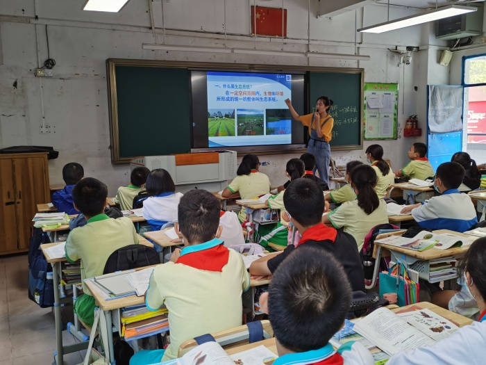 努力造高效課堂，積極謀劃促“雙減”