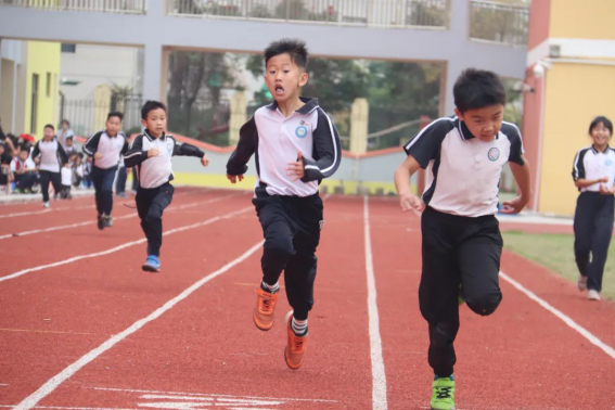 1681313877974010573.png wps6.png