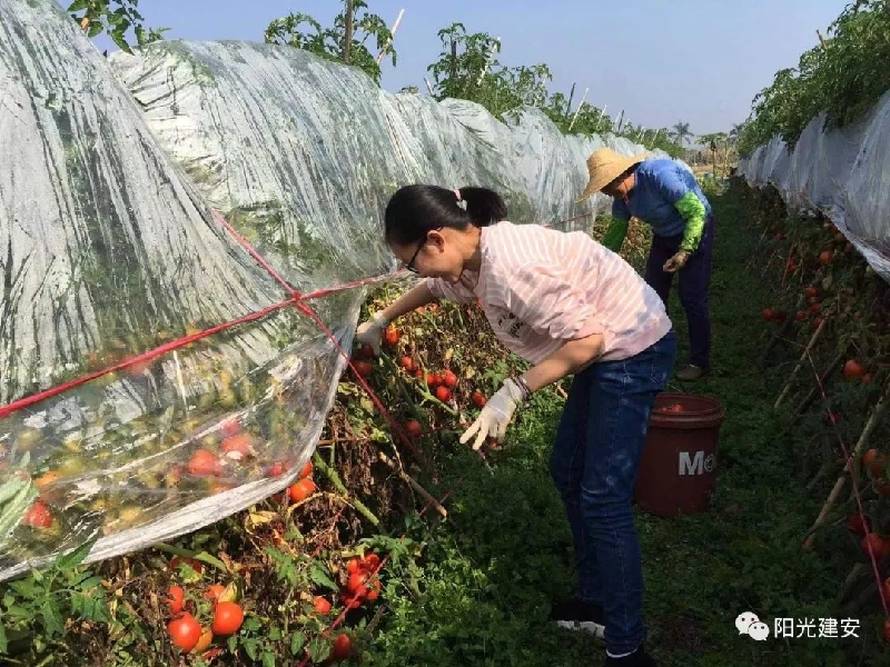 1645148813517088513.jpg 圖3-1.jpg