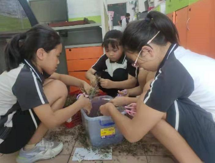 1664253176241014248.png image.png