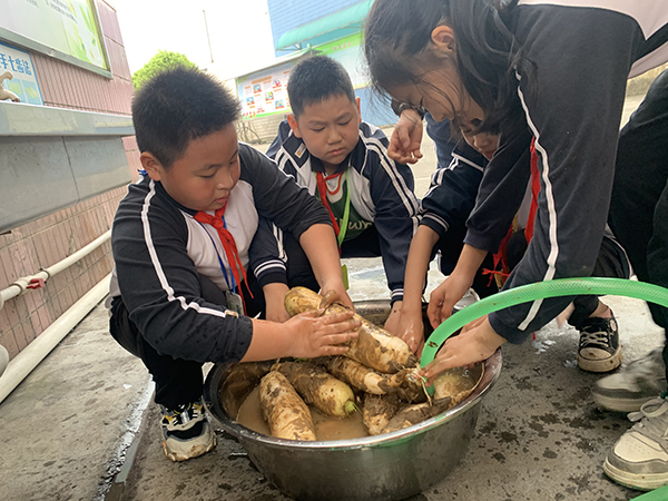 1675955747397094333.jpg 微信圖片_20230209222710.jpg