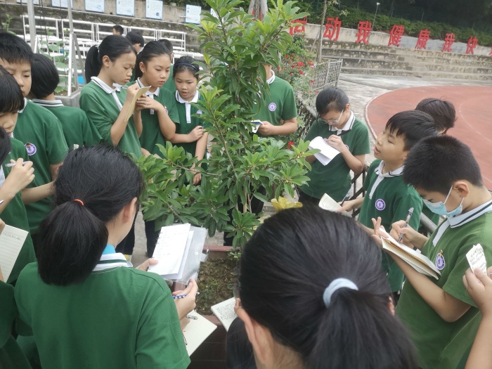 學(xué)生在勞動(dòng)基地進(jìn)行觀察記錄2.jpg
