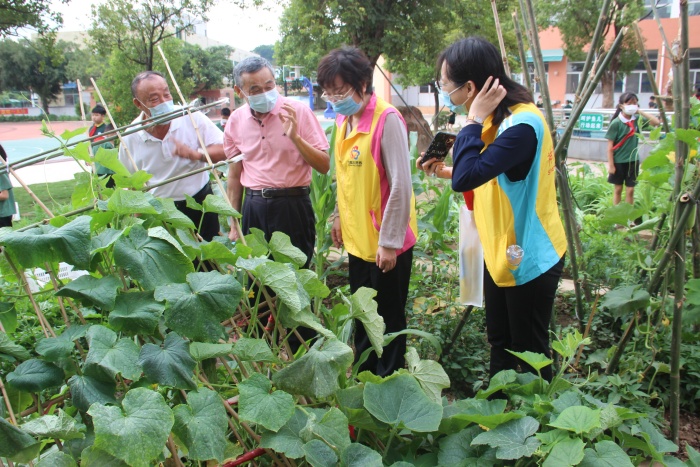 20220428神灣中心小學(xué)綜合實(shí)踐勞動(dòng)課程展示暨豐收節(jié)專題活動(dòng)照片 (9).jpg