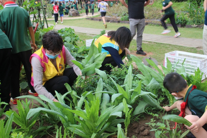 20220428神灣中心小學(xué)綜合實(shí)踐勞動(dòng)課程展示暨豐收節(jié)專題活動(dòng)照片 (2).jpg
