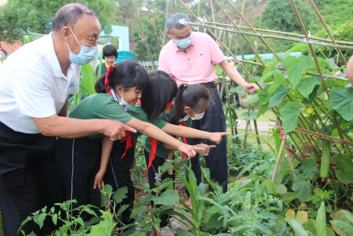 20220428神灣中心小學(xué)綜合實(shí)踐勞動(dòng)課程展示暨豐收節(jié)專題活動(dòng)照片 (1).jpg