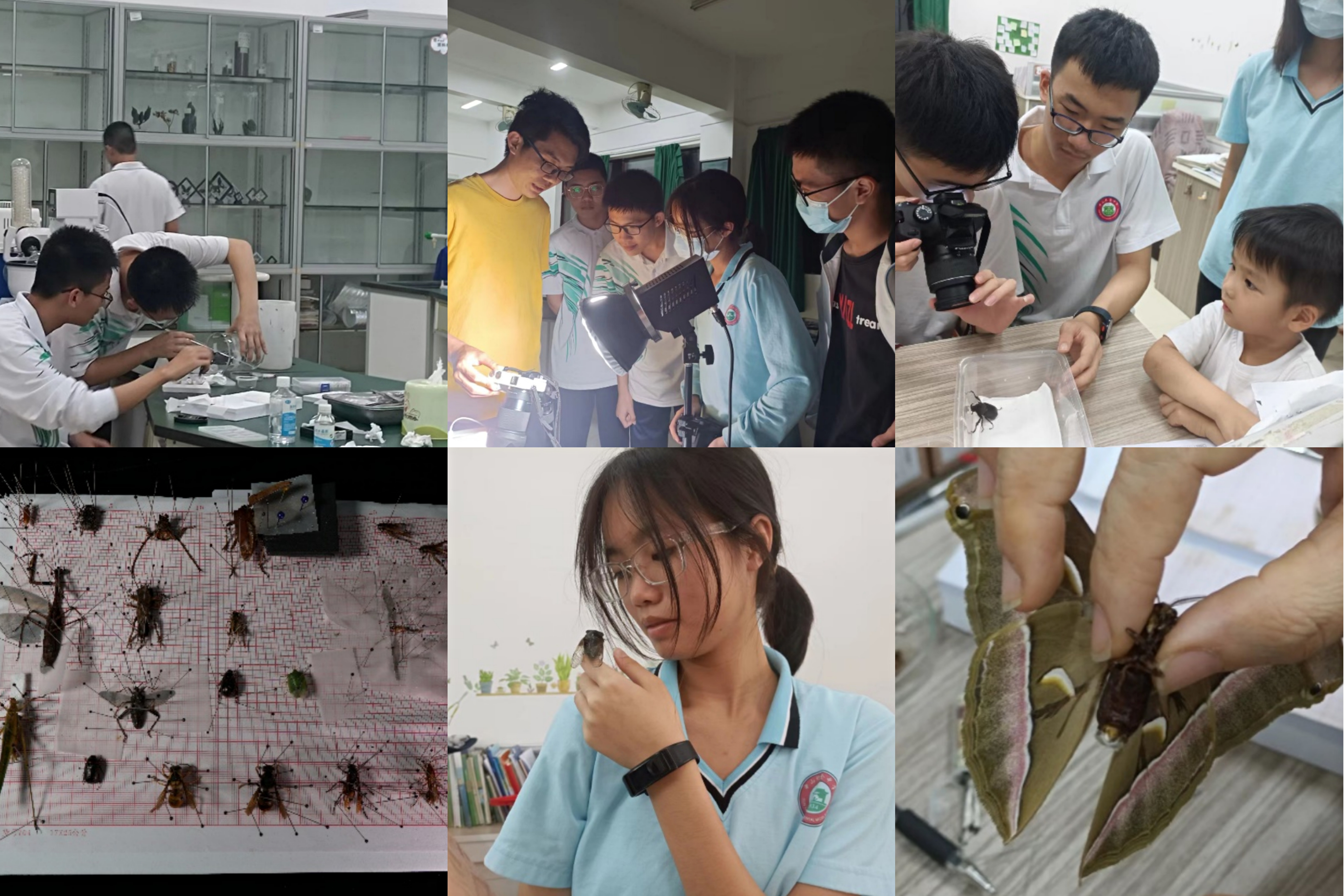 lQDPDhuNEOrFv8DNCqzNEACwfBrLu-rQZoMCt8u8o8AZAA_4096_2732.jpg lQDPDhuNEOrFv8DNCqzNEACwfBrLu-rQZoMCt8u8o8AZAA_4096_2732.jpg