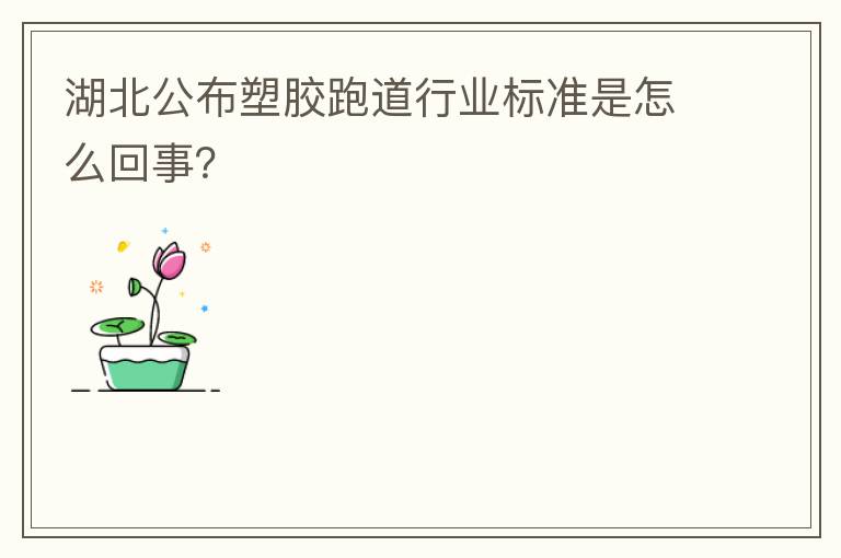 湖北公布塑膠跑道行業(yè)標(biāo)準(zhǔn)是怎么回事？