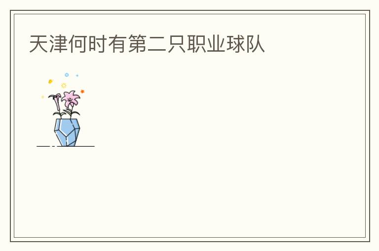 天津何時有第二只職業(yè)球隊