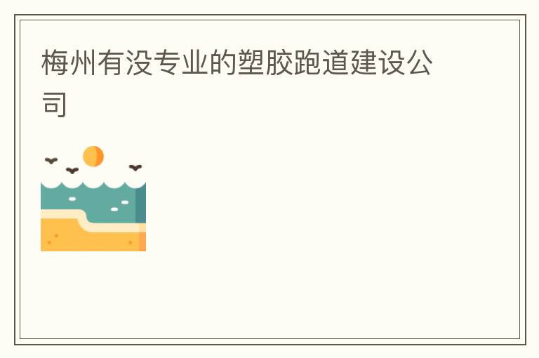 梅州有沒(méi)專業(yè)的塑膠跑道建設(shè)公司