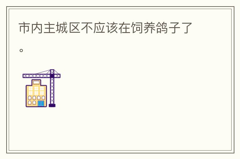 市內(nèi)主城區(qū)不應(yīng)該在飼養(yǎng)鴿子了。