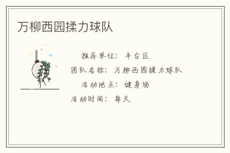 萬柳西園揉力球隊