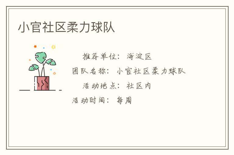 小官社區(qū)柔力球隊