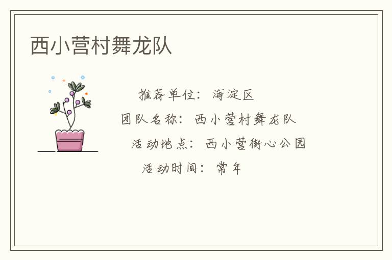 西小營村舞龍隊(duì)