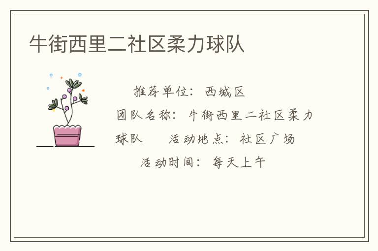 牛街西里二社區(qū)柔力球隊