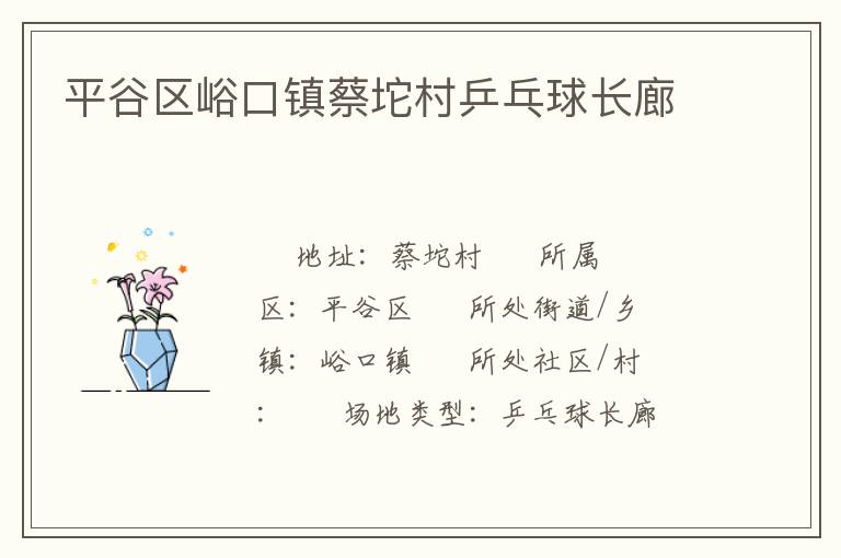 平谷區(qū)峪口鎮(zhèn)蔡坨村乒乓球長廊