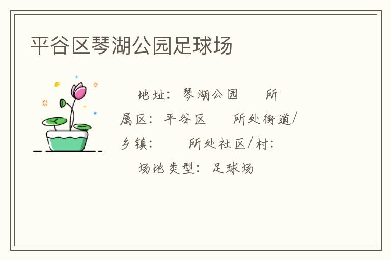 平谷區(qū)琴湖公園足球場