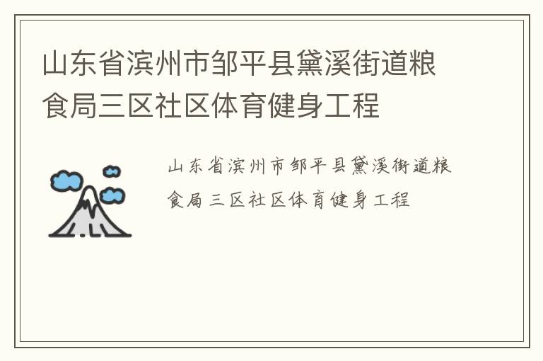 山東省濱州市鄒平縣黛溪街道糧食局三區(qū)社區(qū)體育健身工程