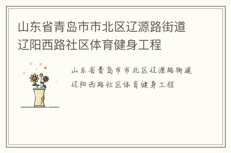 山東省青島市市北區(qū)遼源路街道遼陽西路社區(qū)體育健身工程