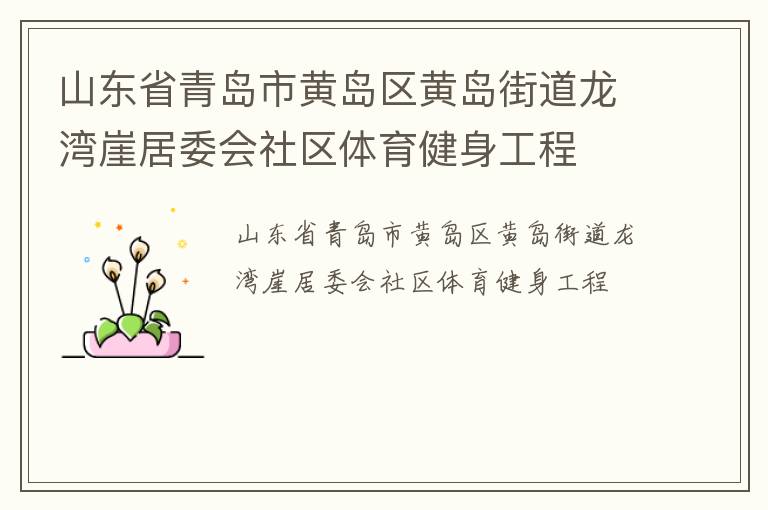 山東省青島市黃島區(qū)黃島街道龍灣崖居委會社區(qū)體育健身工程