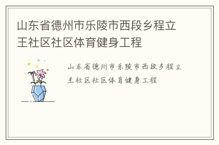 山東省德州市樂(lè)陵市西段鄉(xiāng)程立王社區(qū)社區(qū)體育健身工程