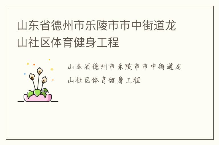 山東省德州市樂陵市市中街道龍山社區(qū)體育健身工程