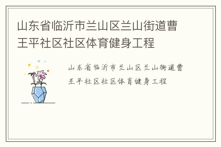 山東省臨沂市蘭山區(qū)蘭山街道曹王平社區(qū)社區(qū)體育健身工程