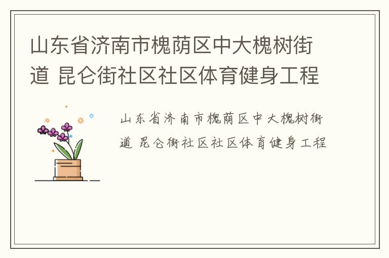 山東省濟(jì)南市槐蔭區(qū)中大槐樹街道 昆侖街社區(qū)社區(qū)體育健身工程
