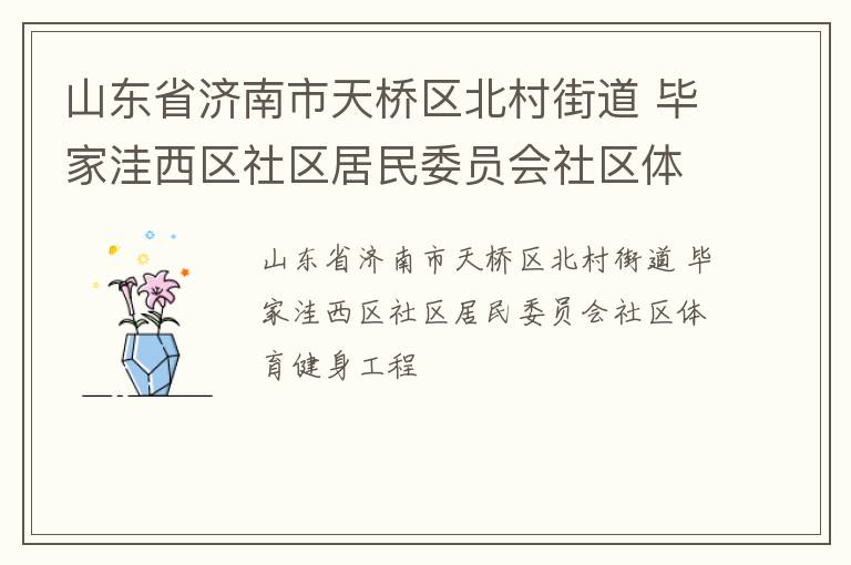 山東省濟(jì)南市天橋區(qū)北村街道 畢家洼西區(qū)社區(qū)居民委員會社區(qū)體育健身工程