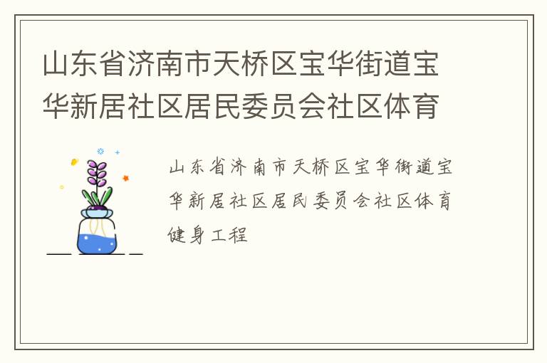 山東省濟南市天橋區(qū)寶華街道寶華新居社區(qū)居民委員會社區(qū)體育健身工程