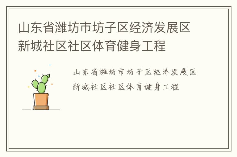 山東省濰坊市坊子區(qū)經濟發(fā)展區(qū)新城社區(qū)社區(qū)體育健身工程