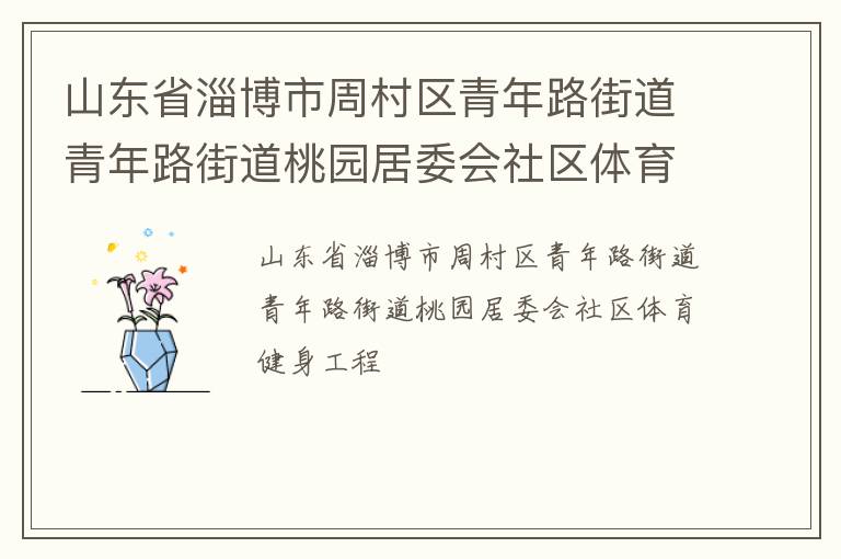 山東省淄博市周村區(qū)青年路街道青年路街道桃園居委會(huì)社區(qū)體育健身工程
