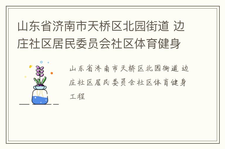 山東省濟南市天橋區(qū)北園街道 邊莊社區(qū)居民委員會社區(qū)體育健身工程