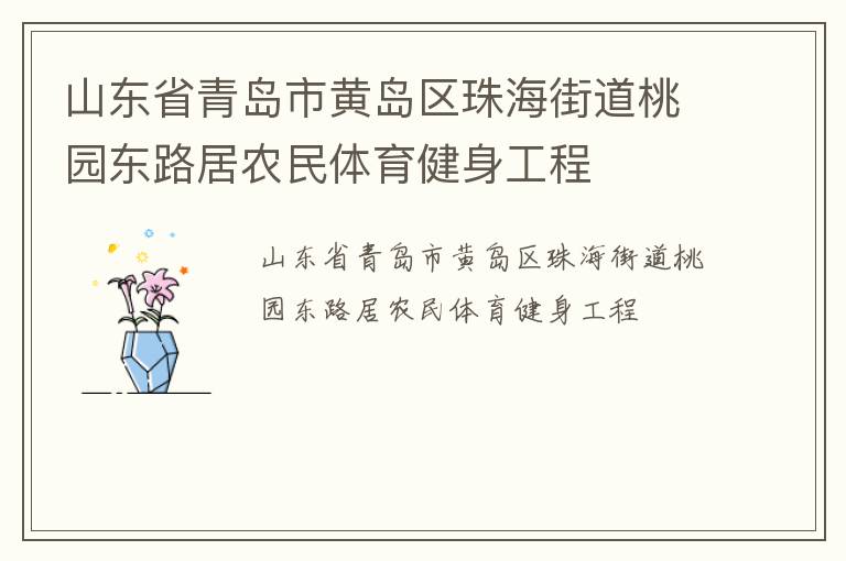 山東省青島市黃島區(qū)珠海街道桃園東路居農(nóng)民體育健身工程